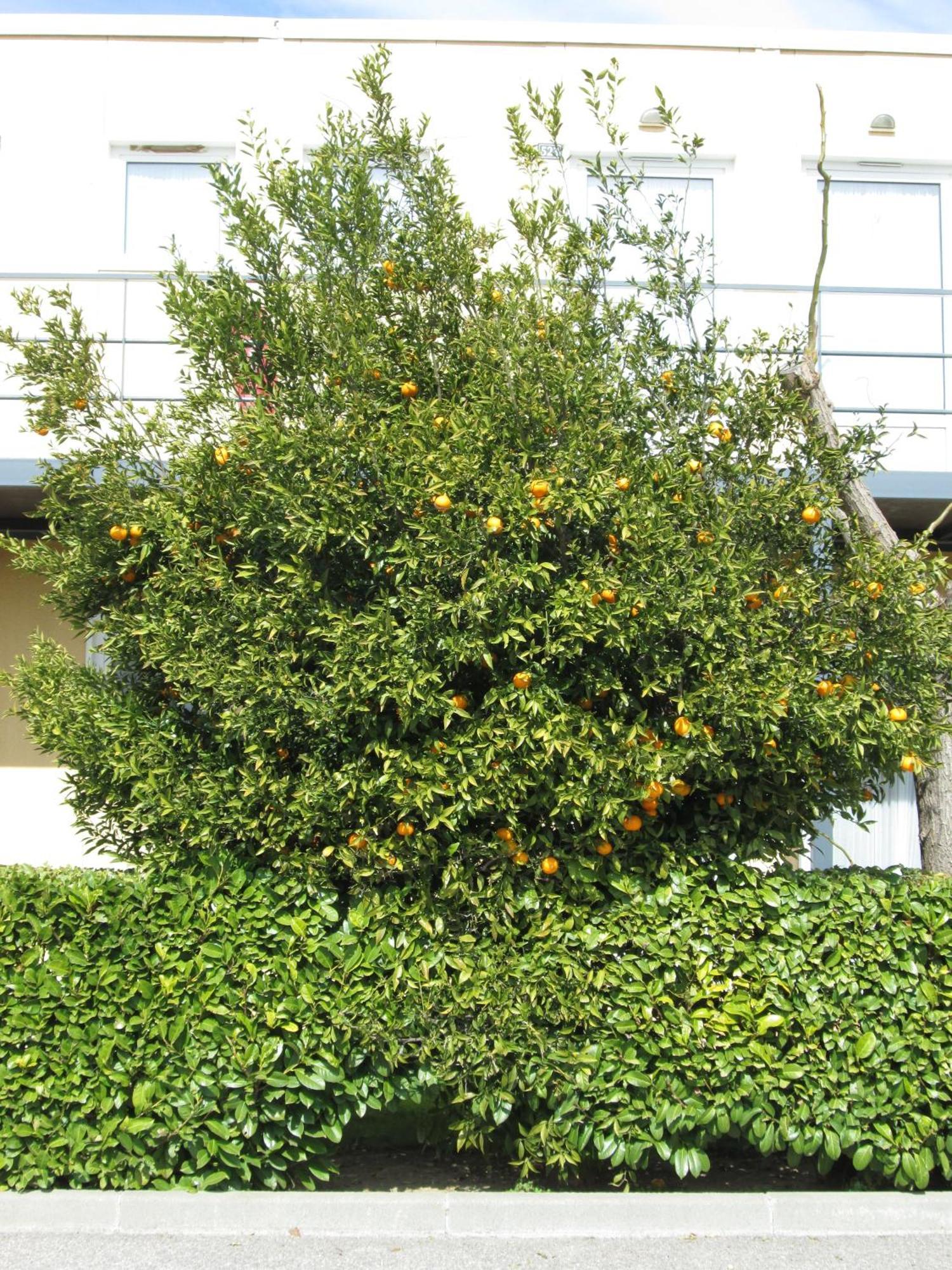 Top Motel Istres Kültér fotó